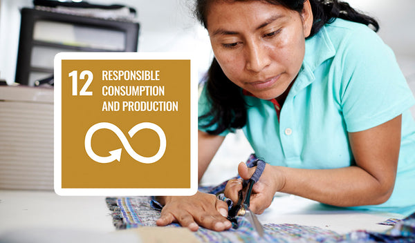 SDG12 Responsible Consumption & Production